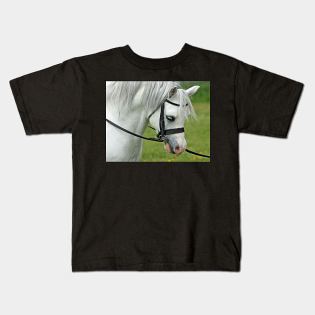 Welsh Mountain Pony Kids T-Shirt by Furtographic